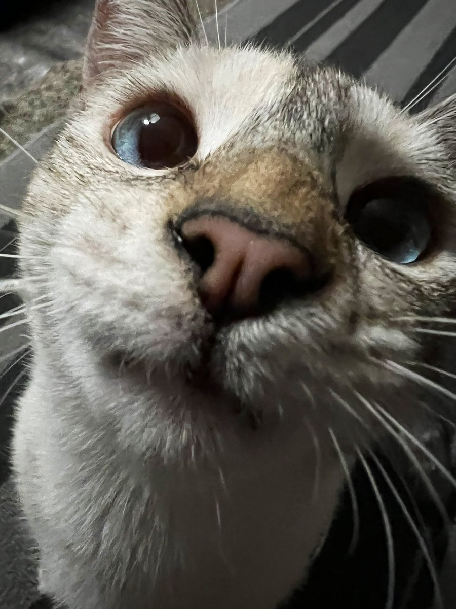 A Tuesday morning Bean-fest to brighten up your day! Now with 100% more Bean’s beans.

Still not dead in Rinzavier… yet. 👀 @Arkudel is trying! 

Dropped off the crew in the capable hands of <a href="/LittleMsBek/">AwkwardMonsters</a> — have a kick ass day, friends, &amp; I’ll catch ya again Thursday for Ep. 16+!