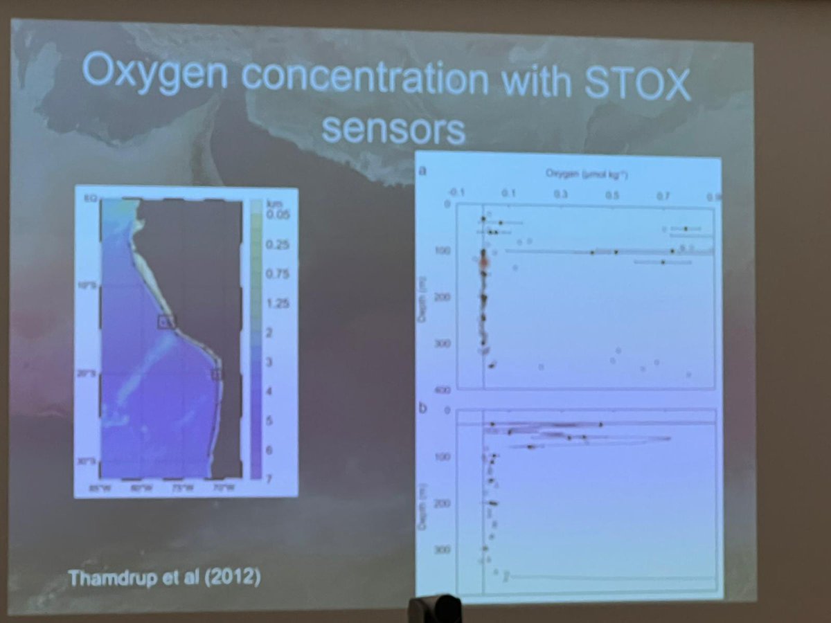 Liège Colloquium tweet media