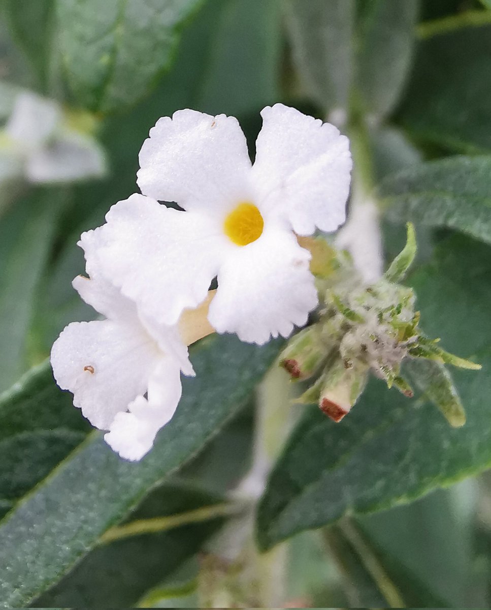 Robjeweer tweet media