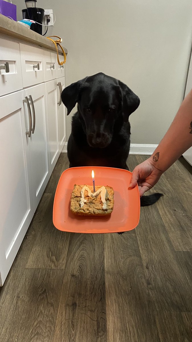 mightbelindsey's tweet photo. I can’t believe he is already 5!!!!!!!!!!! I love you malik ❤️🥰 https://t.co/3EiZvxVJzd