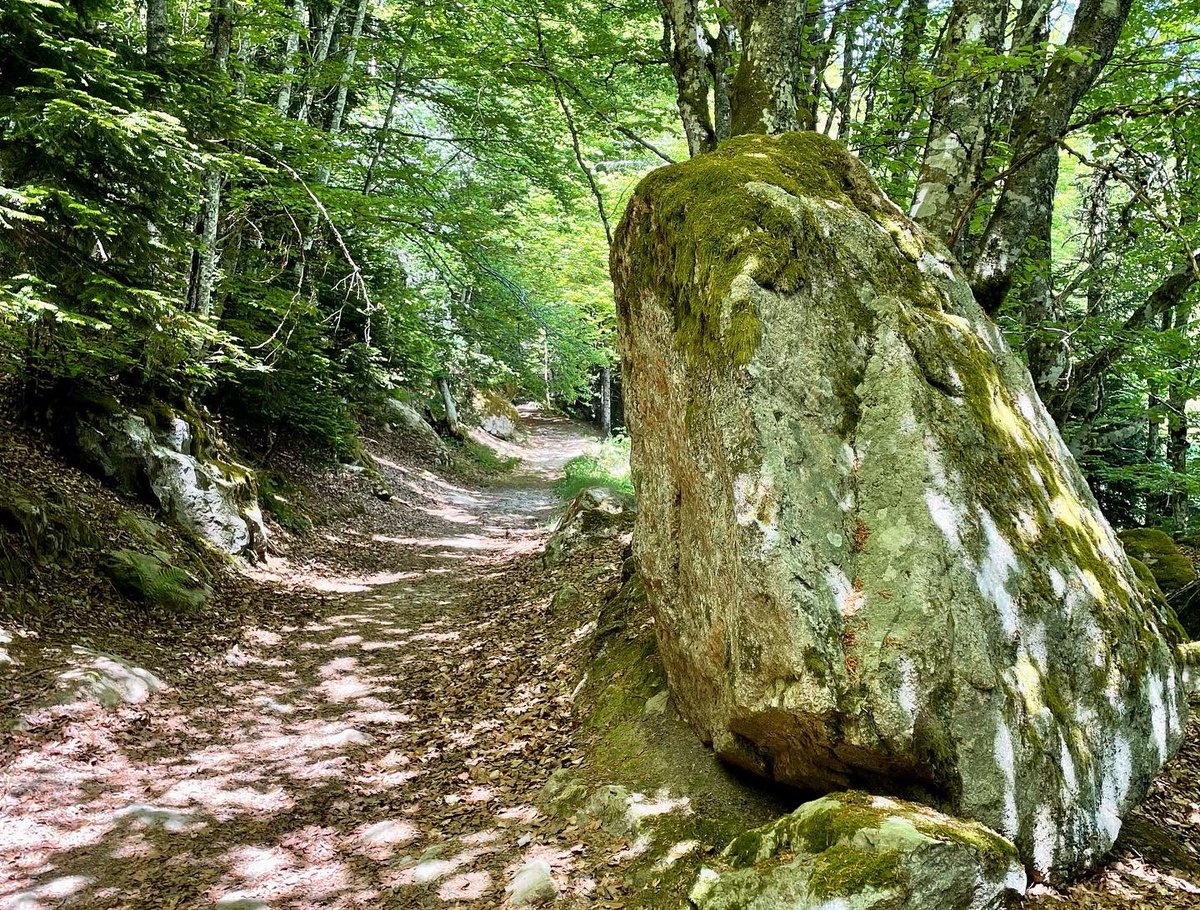 Chabanettes's tweet photo. On a fait une belle (et très transpirante) randonnée autour des vallées et des forêts qui entourent le magnifique village de Valcivières. Un paysage étonnant et un coin de l'Auvergne que vous devez vraiment voir #myauvergne #livradoisforez https://t.co/KjsteTNbZ0