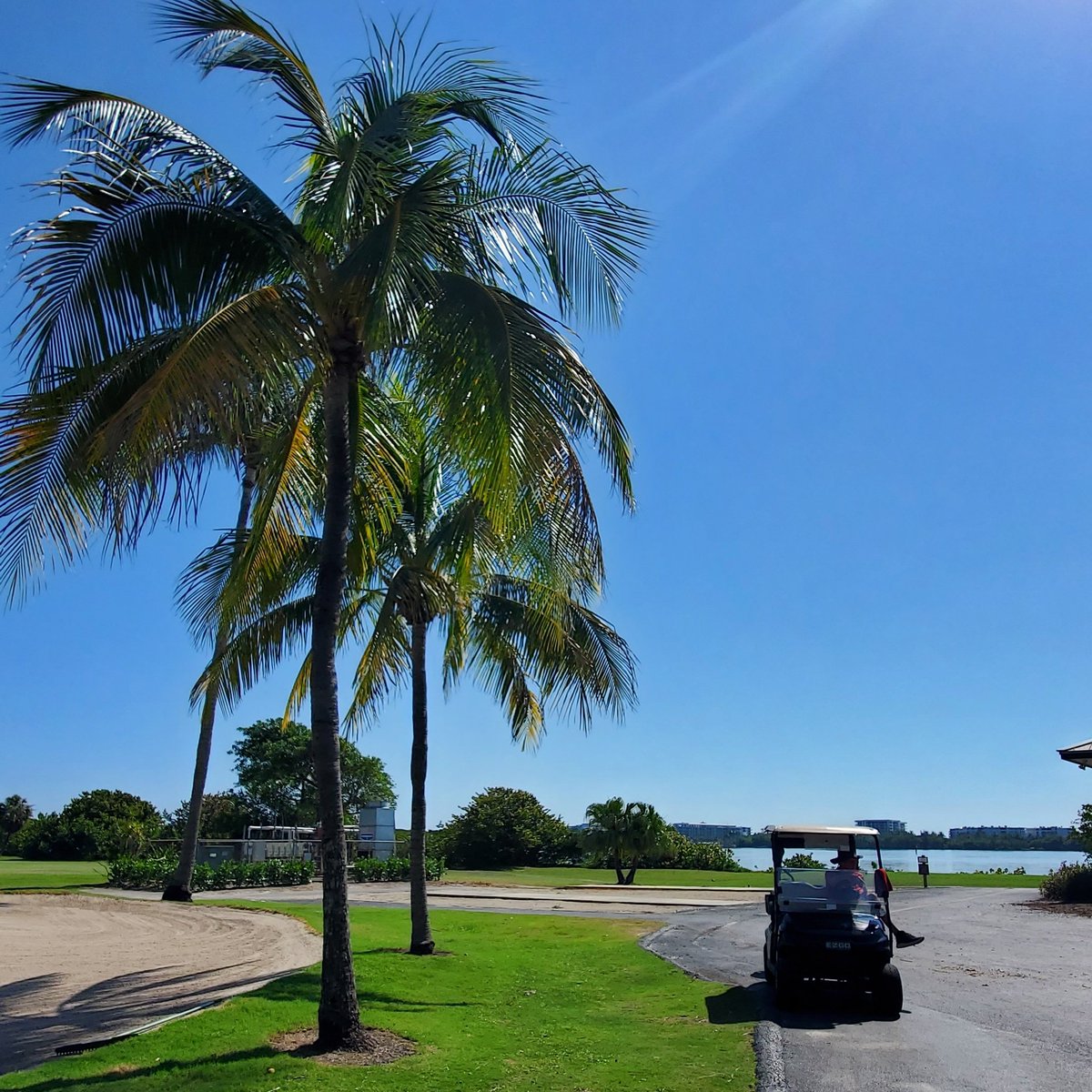 LWBGolfClub's tweet photo. Ready for a great day at the #LakeWorthBeach Golf Club ⛳️ 

Book your next tee time at https://t.co/vk45GwgdJY https://t.co/XKBi2f6X7C