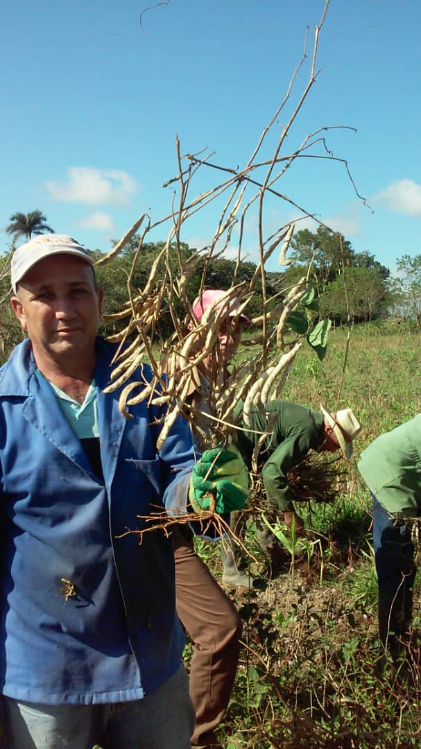 ESASSP's tweet photo. El 17 de Mayo es un día especial para toda #Cuba, para los campesinos, quienes dedican sus vidas a cultivar la tierra, la bella tierra en que nacimos. Feliz dia para los campesinos.
#SanctiSpiritus 
#CubaViveYProduce 
#Anap 
@Herrera91005586 
@DianaSnchezPre2 
@Ana80559973 https://t.co/zqCKSF7Fyl