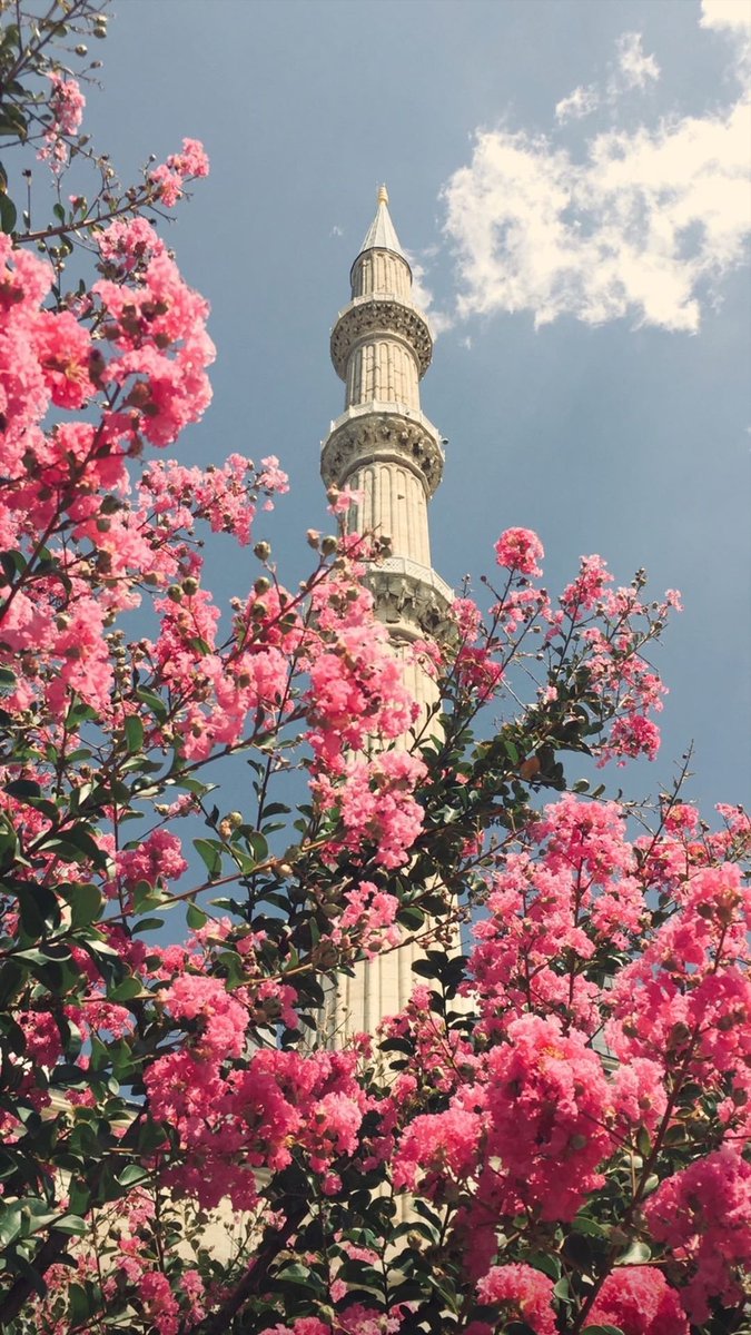 birhasem's tweet photo. Faniler neticeye, Allah çabaya ve iyi niyete bakar. En kıymetli takdir Allah’tan gelendir. https://t.co/IgAPLaCl4X