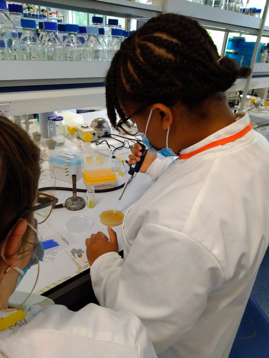 Had a fantastic week hosting some Y10 work experience students <a href="/Bruneluni/">Brunel University of London</a> in Biosciences from Bishop Ramsey CoE School. They had hands on experience of the research we do, visiting lots of different academic's labs, and hopefully inspired some of the next generation. <a href="/BBiosci/">Brunel Biomedical Sciences</a>