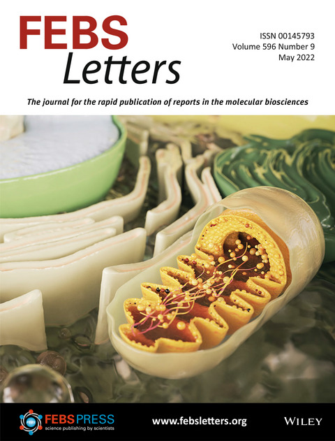 FEBS_Letters's tweet photo. 🔔New issue online!
✳ Review: #MitochondrialDysfunction in #neurodegeneration
🔎#Autophagy & #immunesignaling
🔎#Tau isoforms
🔎#Amyloid β & #ribosome co-aggregation
🔎#SARSCoV2 Nsp1 & 3CLpro
➡https://t.co/qMqVJQ6ypB
📌More #MitochondrialBiology at
➡https://t.co/OqL0Lb6lT0 https://t.co/T3FDzsNUz8