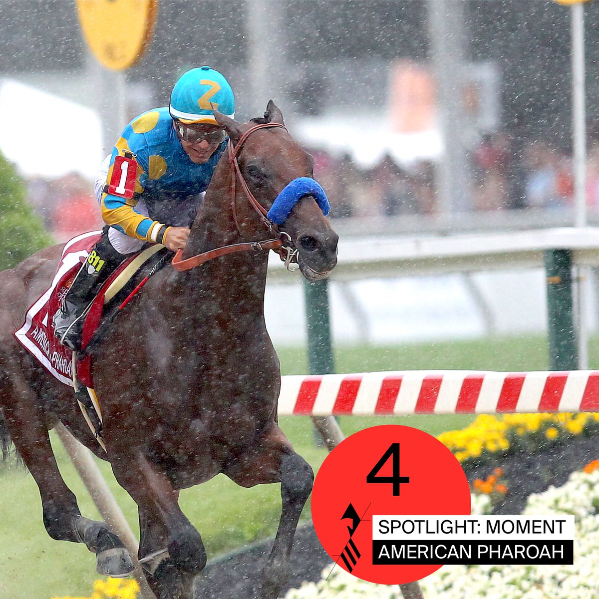 PreaknessStakes's tweet photo. Spotlight 4 shines on #TripleCrown champion, American Pharoah. After winning #Preakness140, American Pharoah went on to become the first horse to win the Triple Crown in 37 years. #Spotlight47 #Baltimore1ST #SecondToNone https://t.co/7fFVlyWv48