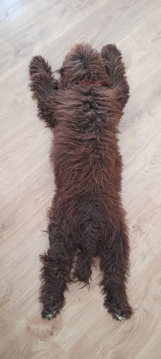 Fabián Pérez tweet media