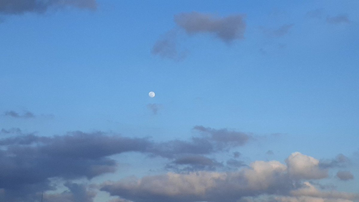 Peace_Palau_Rjp's tweet photo. 雲から咲いたフラワームーン🌼💛♏
#満月 #ミルクムーン #haremoon #plantingmoon #grassmoon #brightmoon #花月 https://t.co/j9aSUCbBxR
