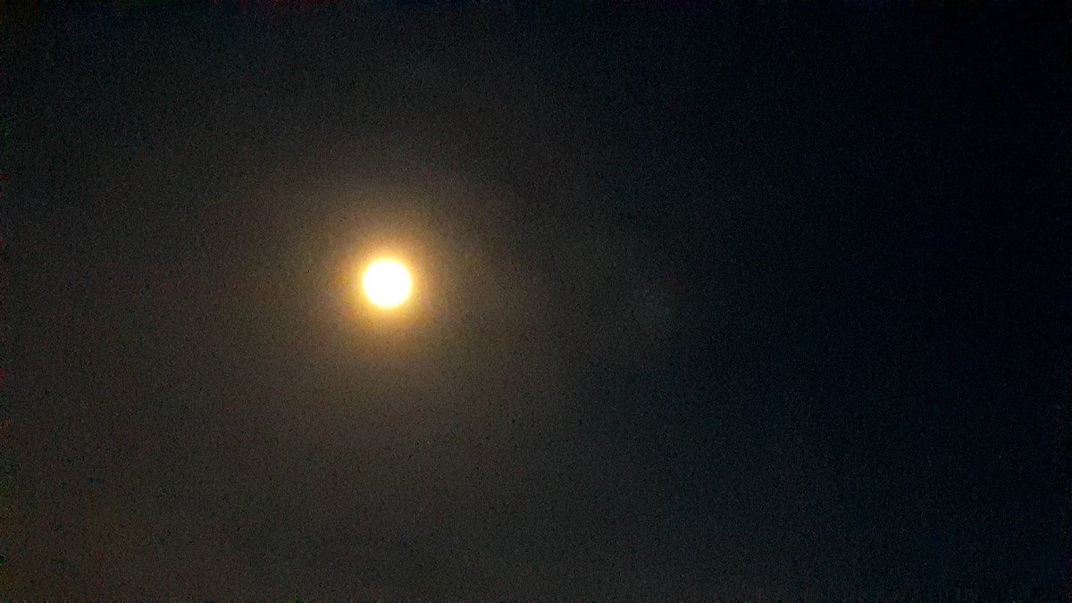 Peace_Palau_Rjp's tweet photo. 雲から咲いたフラワームーン🌼💛♏
#満月 #ミルクムーン #haremoon #plantingmoon #grassmoon #brightmoon #花月 https://t.co/j9aSUCbBxR