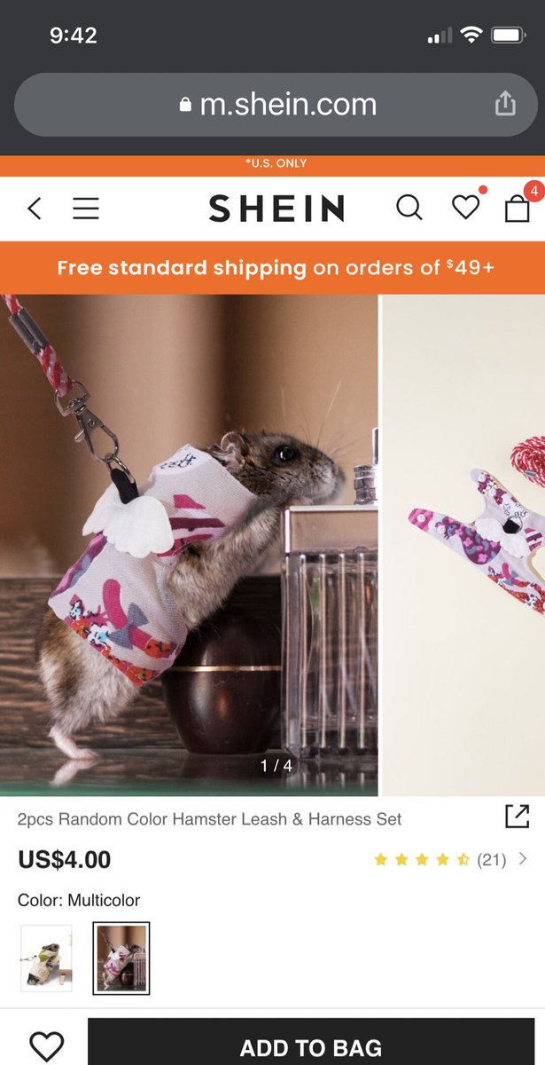 EpicLaLaGirl's tweet photo. Because #internetshopping @SHEIN_Official 🐁 https://t.co/vi7gpTHiWg
