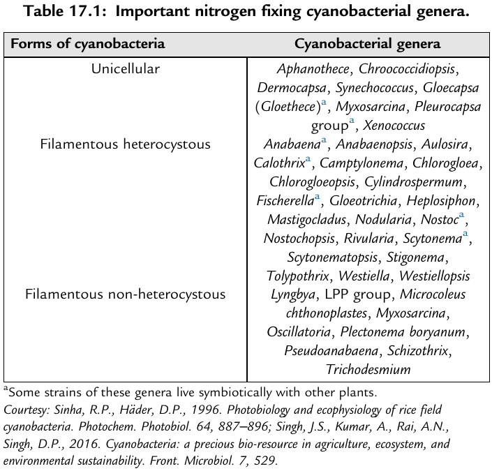 scestari.cntq tweet media