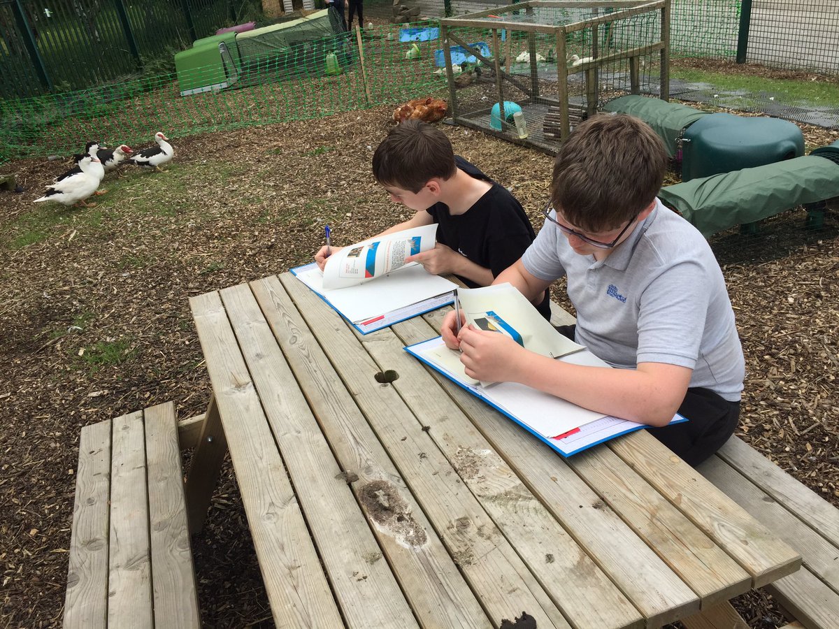 Livvi_Fay's tweet photo. After an afternoon of feet trimming - it’s time to do some paper work. #schoolfarm #farmlife #LPTF #niceweather @LeverParkSchool @bolton_pru https://t.co/5RGu1ME42N