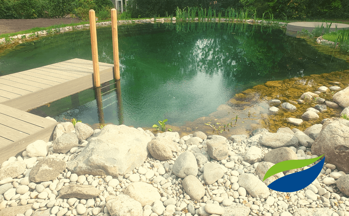 Anyone fancy a dip? 🏊‍♀️ 

Natural water Swimming Ponds,  Clear Water, No Chemicals. 
The perfect Swim!

Looking to convert an empty space into a beautiful Garden experience 
🌿 Contact to us today 🌿 
ow.ly/6C2f50Ja5Tl

#naturalwater #wildlife #michaelwheatgroup #swimponds