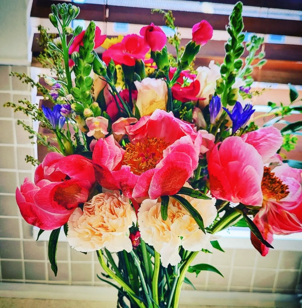 Received these in chambers last week from one of my mentees who was offered pupillage this year- another proud moment! Pic doesn't do them justice but they made my day. To all who were offered pupillage and those who were not- you deserve your flowers for your efforts-keep going!