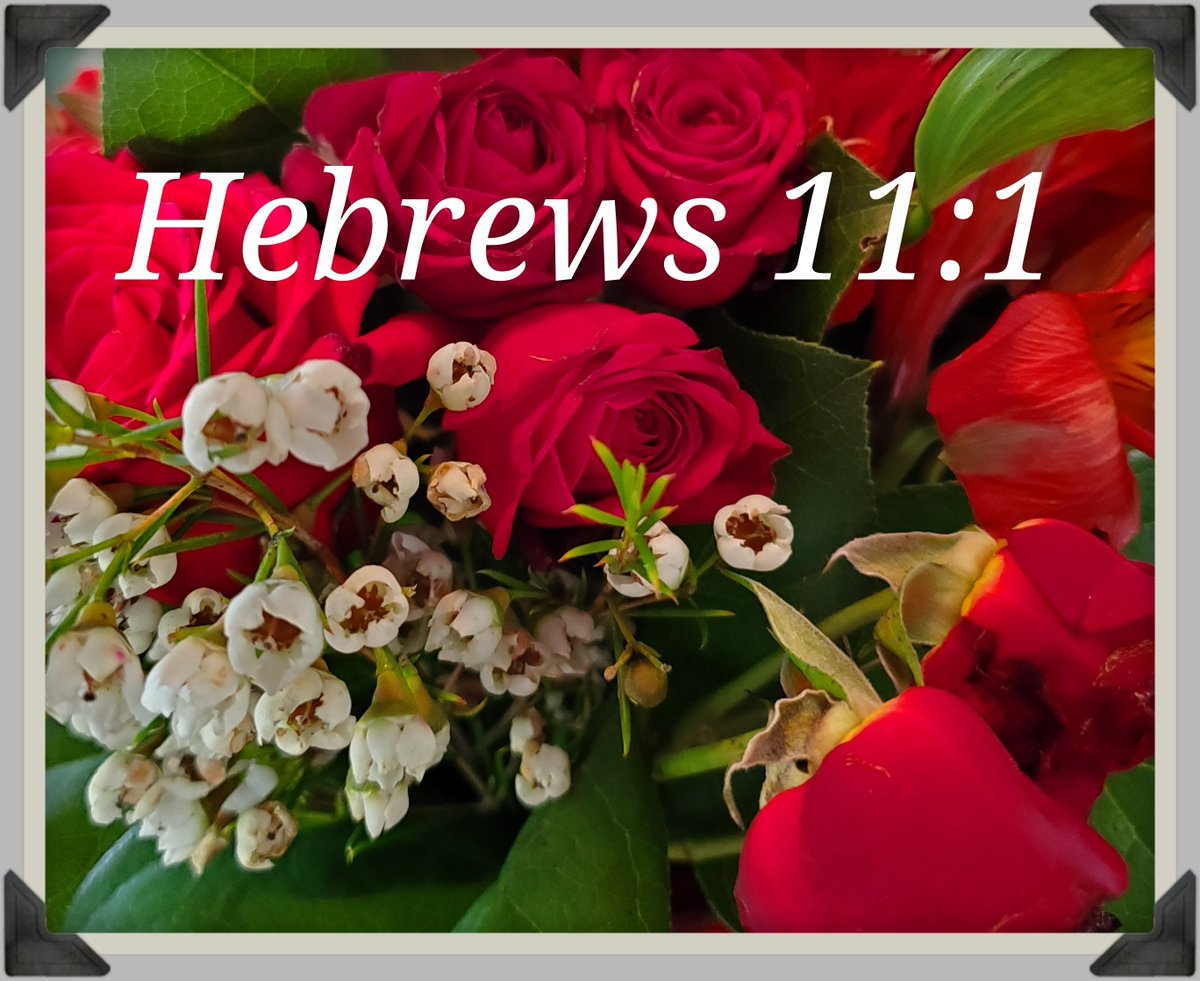 This is one of my favorite scriptures. What's yours, I would love ♥️ to know?#Faith #carmenmillsmusic