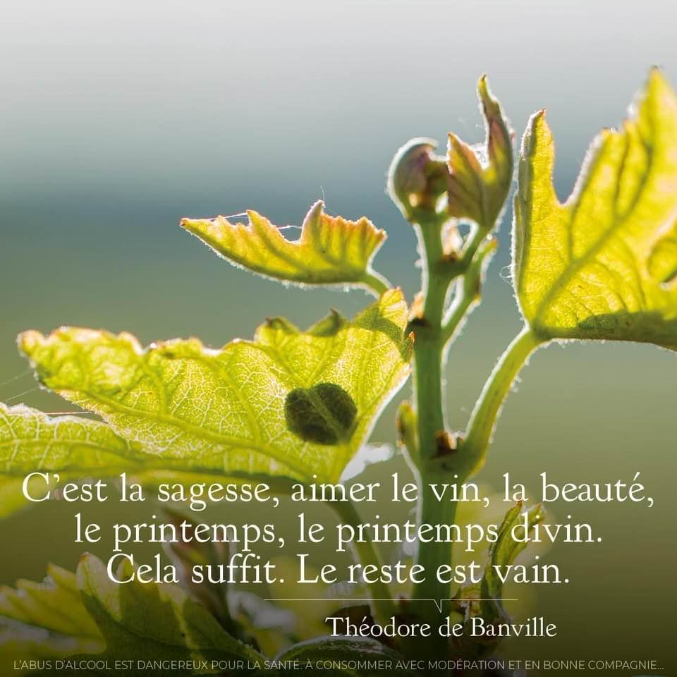 Evening Wine Wed Wineeveningdecale Vin T Co 1tlfhanb4p Twitter