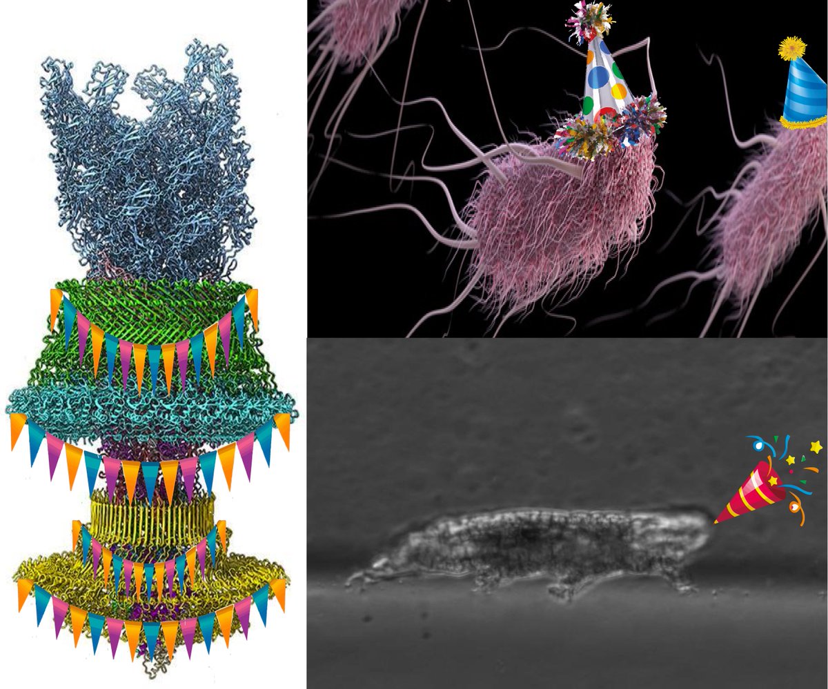 Jasmine Nirody tweet media