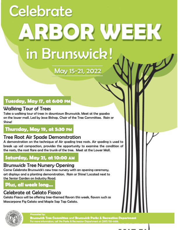 Jesse Bishop tweet media