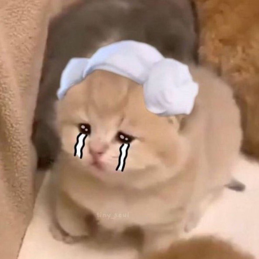 xkowlm's tweet photo. บนค่ะ 🪞
แจกเงิน 100 b. ถ้าติดคณะที่เลือกไว้ 🥺

 #dek65 https://t.co/JakOlA6dpo