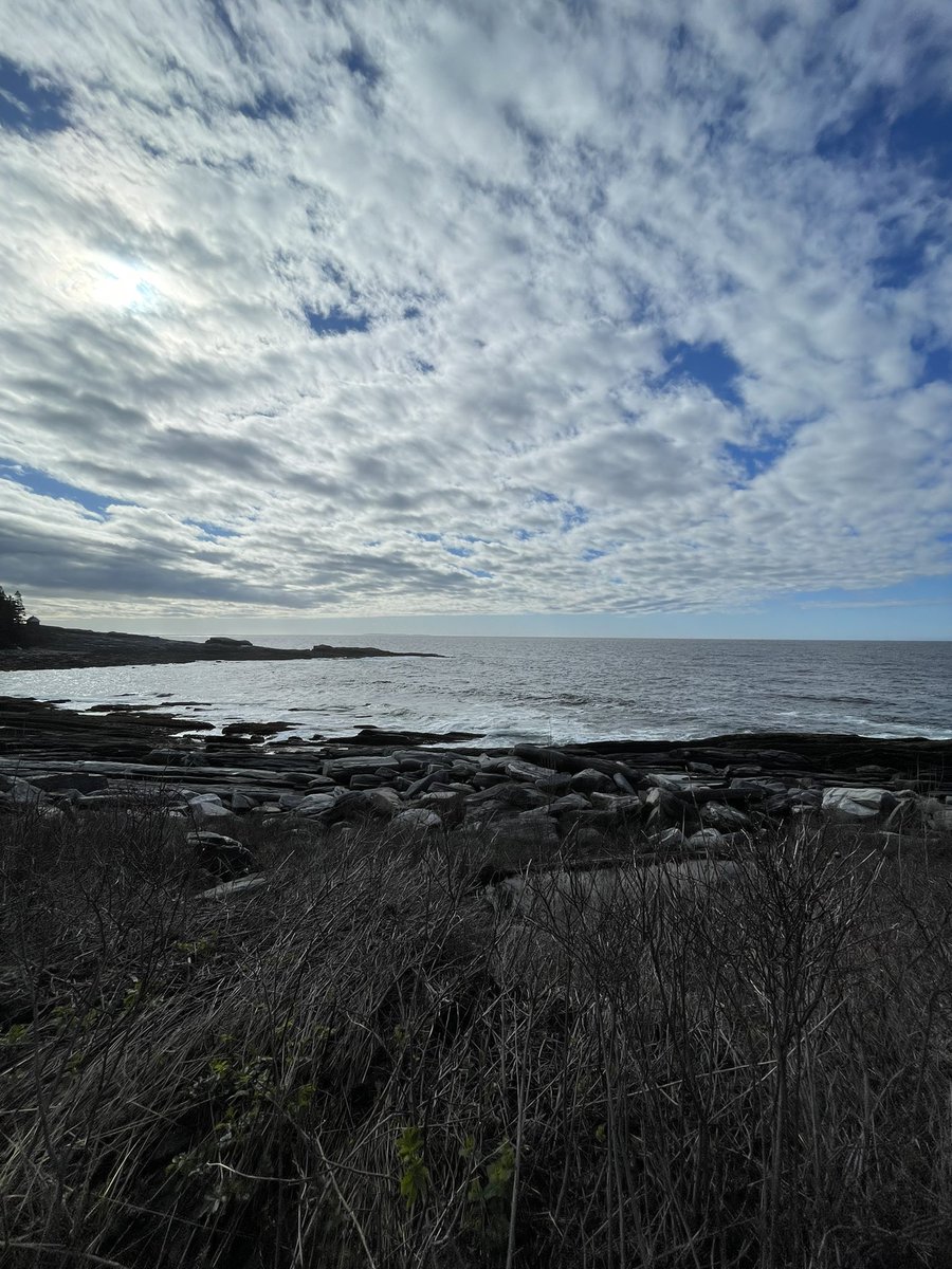 CreteExpert's tweet image. Who else loves pouring with a view? ☀️🌊 #everythingaboutconcrete #mikedayconcrete #stampconcrete