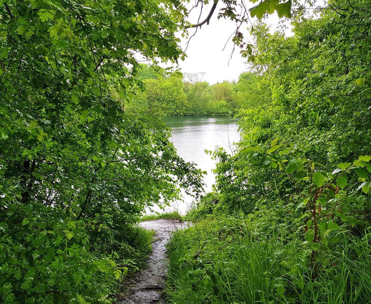 CarersStepOut's tweet photo. Another fabulous Stepping Out Walk around #DebdalePark last week. 🚶‍♀️🌳🌸

Our #Manchester Carers and those they care for enjoyed a sociable wander followed by a delicious lunch. 💚

The rain didn’t spoil their fun! ☔️
#carersstepout 
@Sport_England @CarersMcr @WiganLeighCarer https://t.co/GwWkt9JKCp