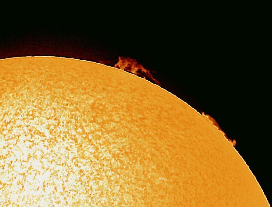 Spicey_Spiney's tweet photo. Catching up on some image processing. Here are some #solarprominences from 13th May. Conditions were challenging to say the least, so I'm astonished I got anything useable! #CoronadoPST 2x Barlow and #ASI120MC camera #Sun #SuninHalpha https://t.co/q428AUBZaH