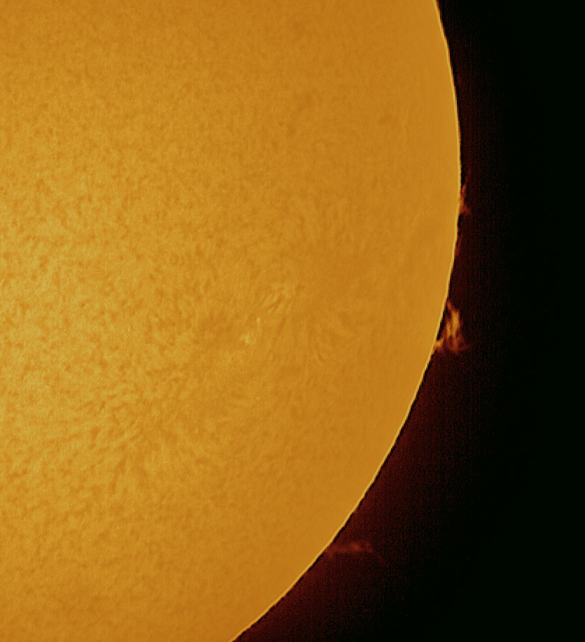 Spicey_Spiney's tweet photo. Catching up on some image processing. Here are some #solarprominences from 13th May. Conditions were challenging to say the least, so I'm astonished I got anything useable! #CoronadoPST 2x Barlow and #ASI120MC camera #Sun #SuninHalpha https://t.co/q428AUBZaH
