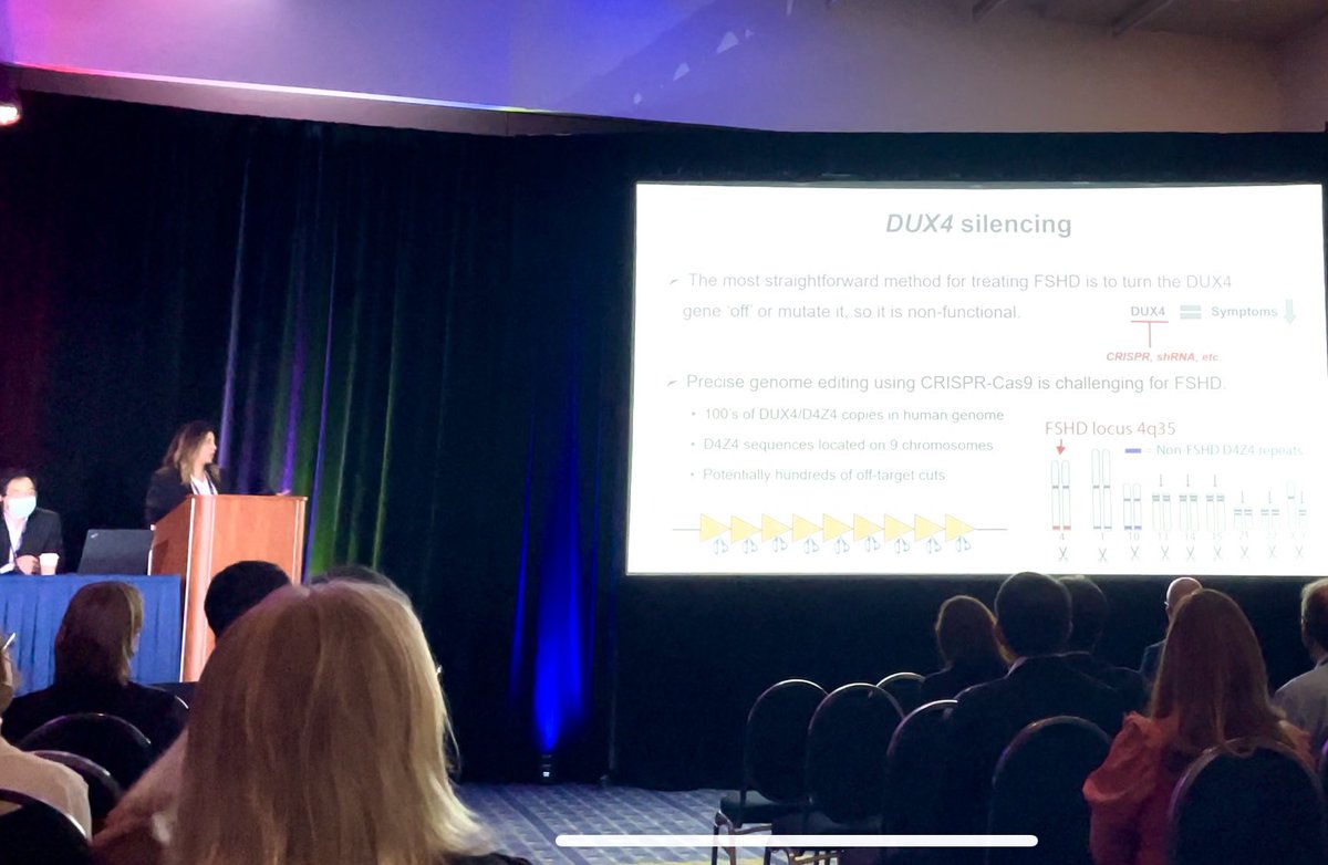 Afrooz Rashnonejad tweet media