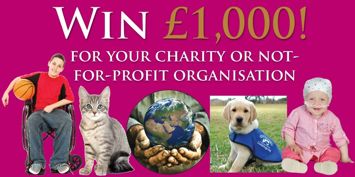 Teckels Animal Sanctuaries tweet media