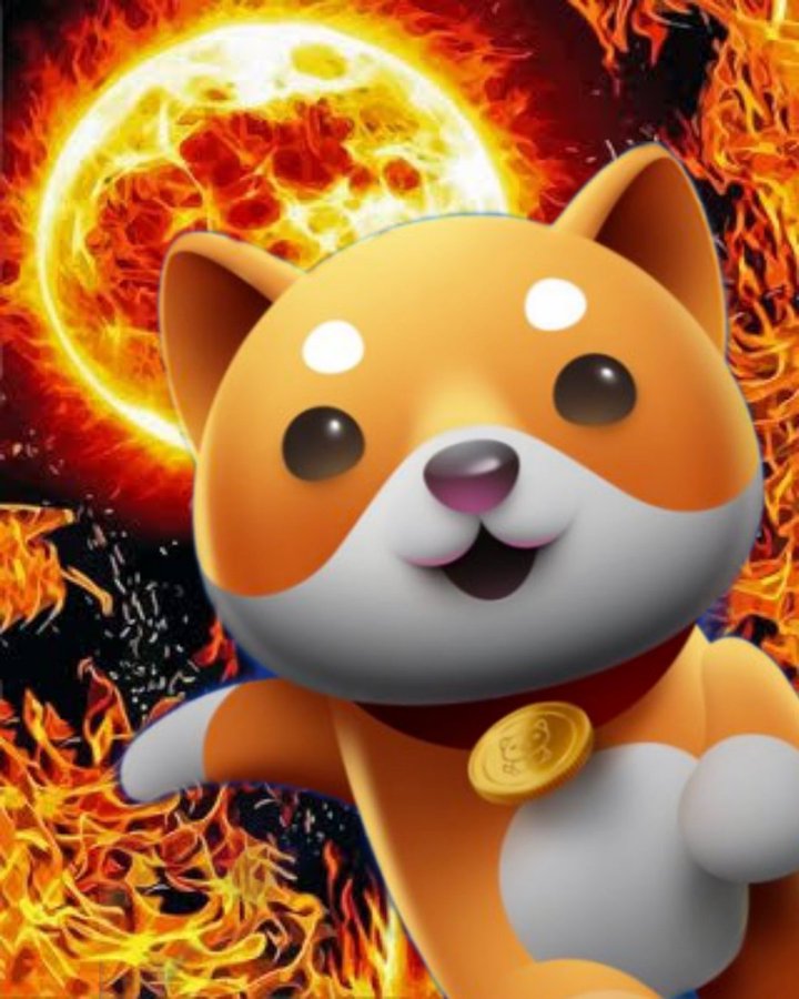 Sohrabmoghanloo's tweet photo. @sofizamolo @babydoge #BabyDogeCoin 💎💎🔥🔥 https://t.co/LfLtH6bi1X
