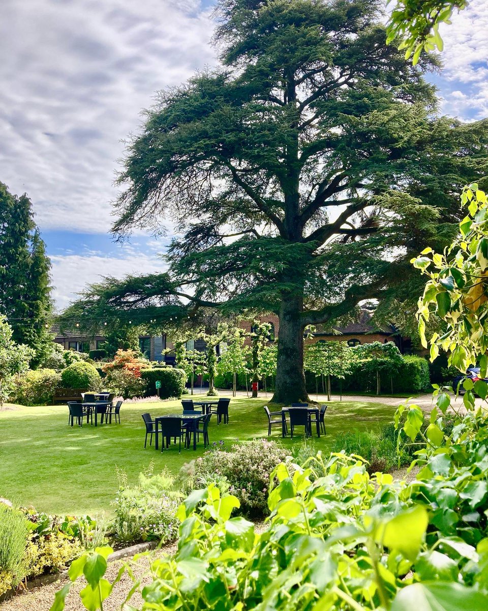 Gardens looking fabulous in the morning sunshine @careysmanor 

The #newforest is a fabulous playground for a relaxing short break, work event or just simply to unwind.
Not a bad place for us all to work too!

#gardens #green #shortbreak #spa #relaxing #work #events #inspiring