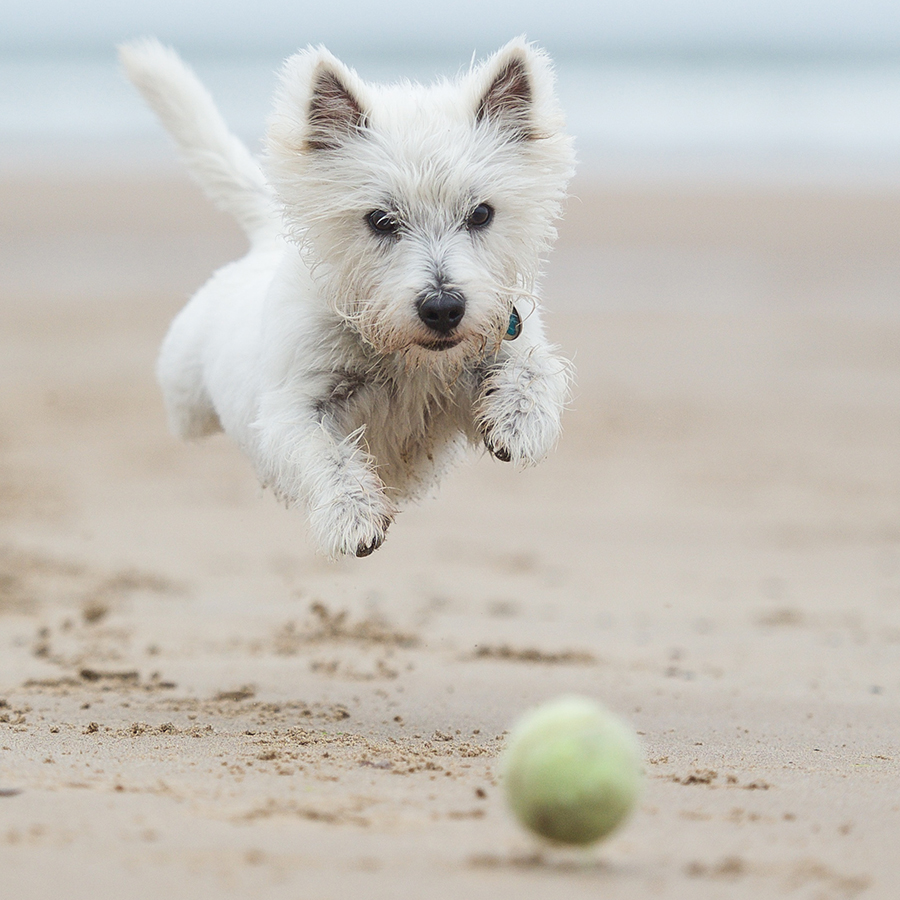 FJB Hotels tweet media