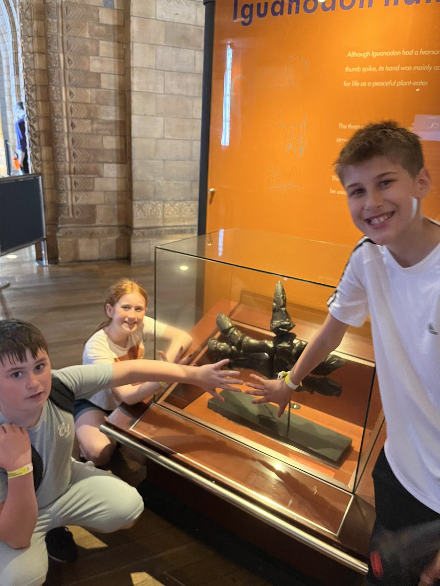 MrsGrovesCPS's tweet photo. Natural History Museum this morning with 6RG 🦖 Loving the dinosaur section! @CambridgeSch https://t.co/7Z7AT5IJvL