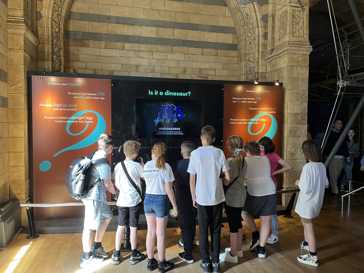 MrsGrovesCPS's tweet photo. Natural History Museum this morning with 6RG 🦖 Loving the dinosaur section! @CambridgeSch https://t.co/7Z7AT5IJvL