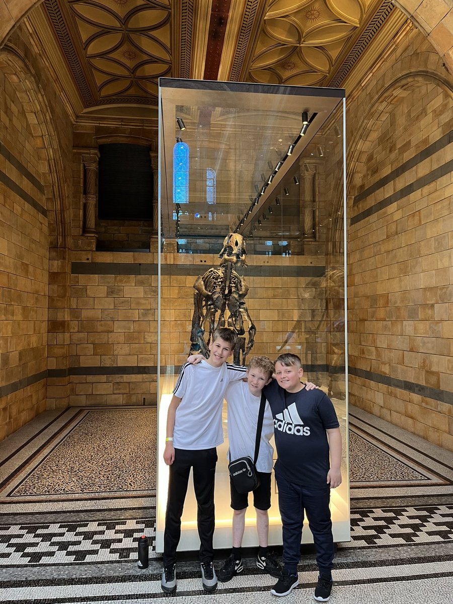MrsGrovesCPS's tweet photo. Natural History Museum this morning with 6RG 🦖 Loving the dinosaur section! @CambridgeSch https://t.co/7Z7AT5IJvL