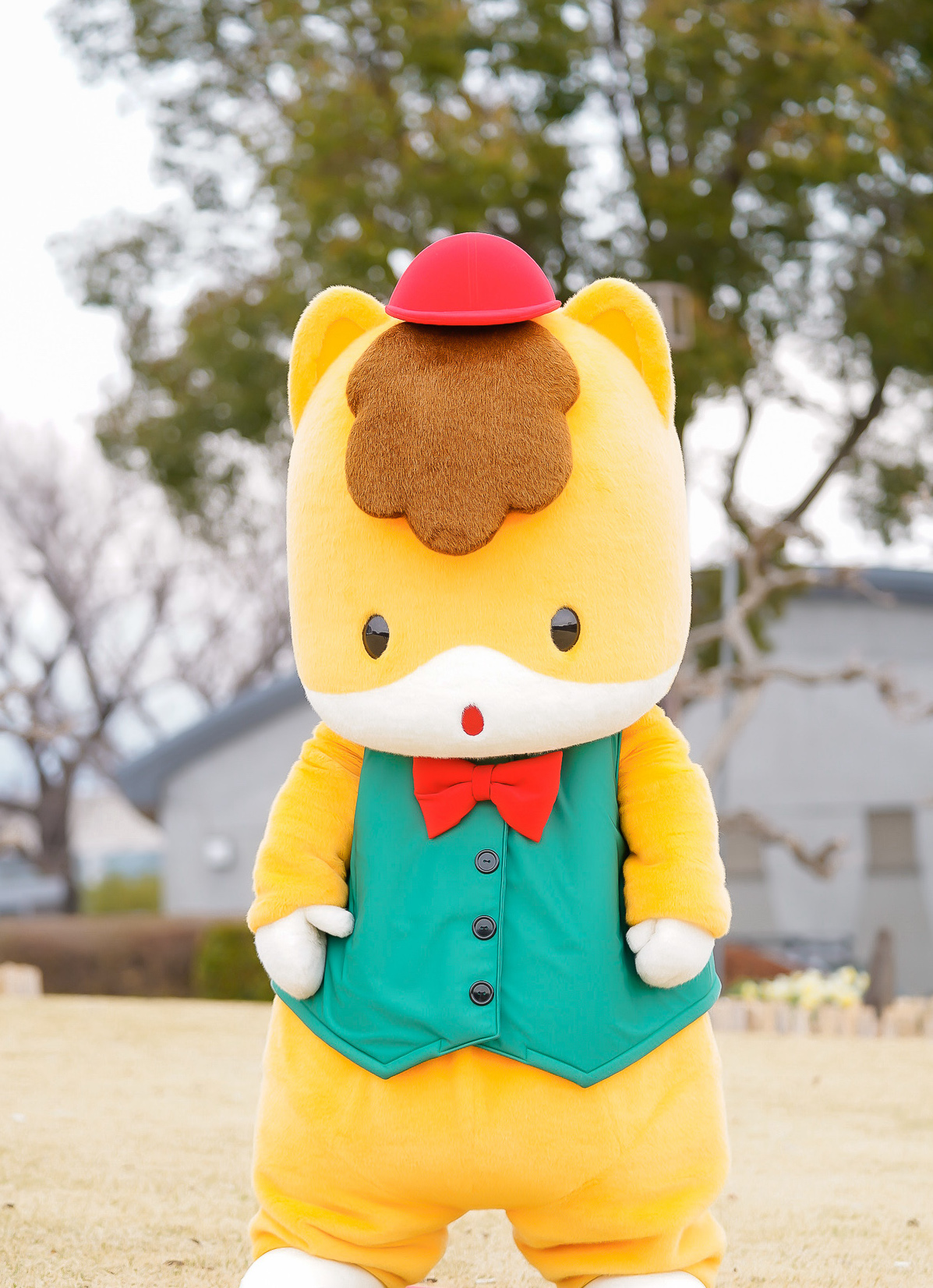 ぐんまちゃん おはよう ぐんまちゃんだよ あそぶぜ ぐんまちゃん 群馬 T Co Id5vhzhzla Twitter