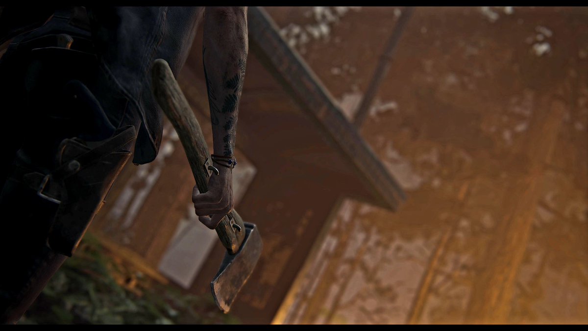 NickVPgamer's tweet photo. #TheLastOfUsPartll #TheLastOfUsPart2 #WorldofVP #SVP #VPRT #VPContext #ArtisticofSociety #PhotoMode #ThePhotoMode #TheCapturedCollective #PS5Share #PS4share #VPgamers #psaphotomode https://t.co/XSqsOhOPrb