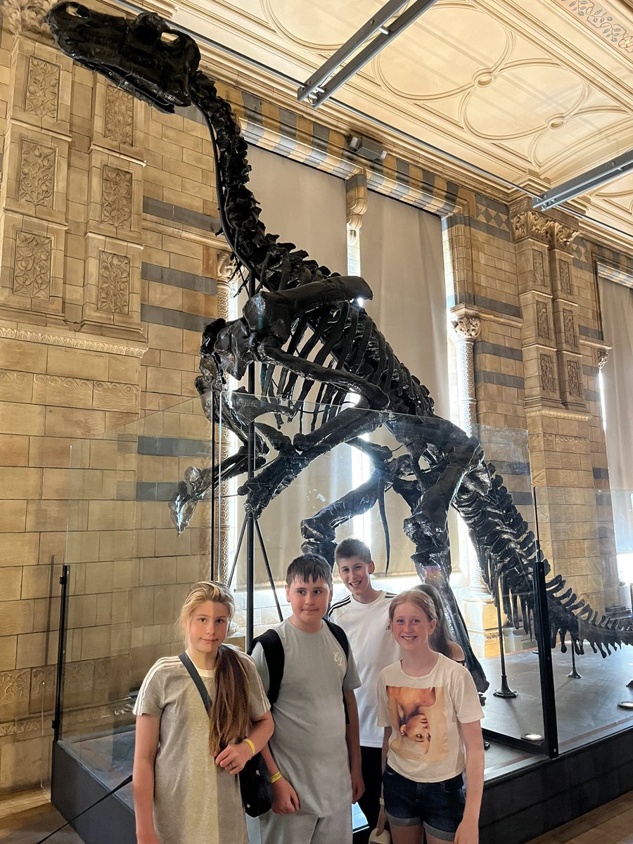 MrsGrovesCPS's tweet photo. More from the Natural History Museum 🕷 🐝 🦕 Fascinated by it all - we could spend all day here! @CambridgeSch https://t.co/ZIcU81r8dB