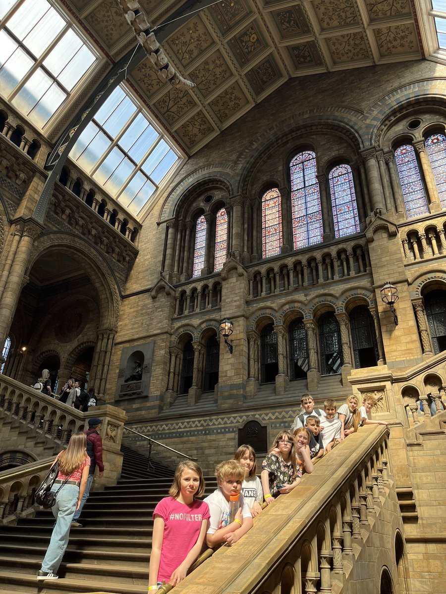 MrsGrovesCPS's tweet photo. More from the Natural History Museum 🕷 🐝 🦕 Fascinated by it all - we could spend all day here! @CambridgeSch https://t.co/ZIcU81r8dB