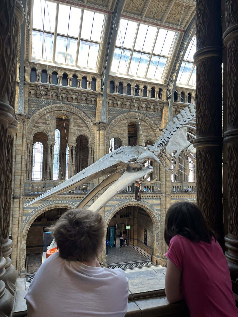 MrsGrovesCPS's tweet photo. More from the Natural History Museum 🕷 🐝 🦕 Fascinated by it all - we could spend all day here! @CambridgeSch https://t.co/ZIcU81r8dB