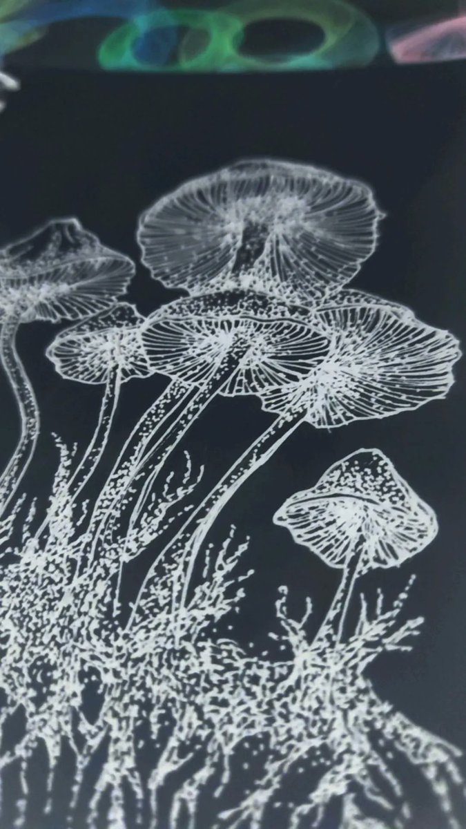 nonparalleled's tweet photo. POV: You discovered new filter 👀👩‍🎨

#ArtistOnTwitter #micronpenart https://t.co/9hjPnaAJg4