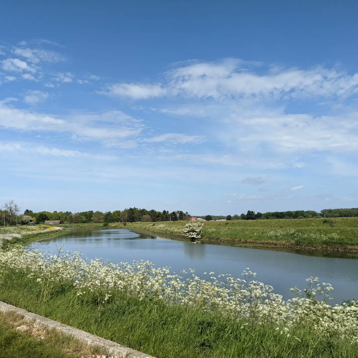 spa_bike's tweet photo. Stunning,just stunning! River Witham along the NCR1 here in Woodhall Spa. #woodhallspa #bikehire #riverwitham #ncr1 #waterrailway #cyclelincolnshire #visitlincolnshire #hireabike #bookonline https://t.co/AicEtxEcDx