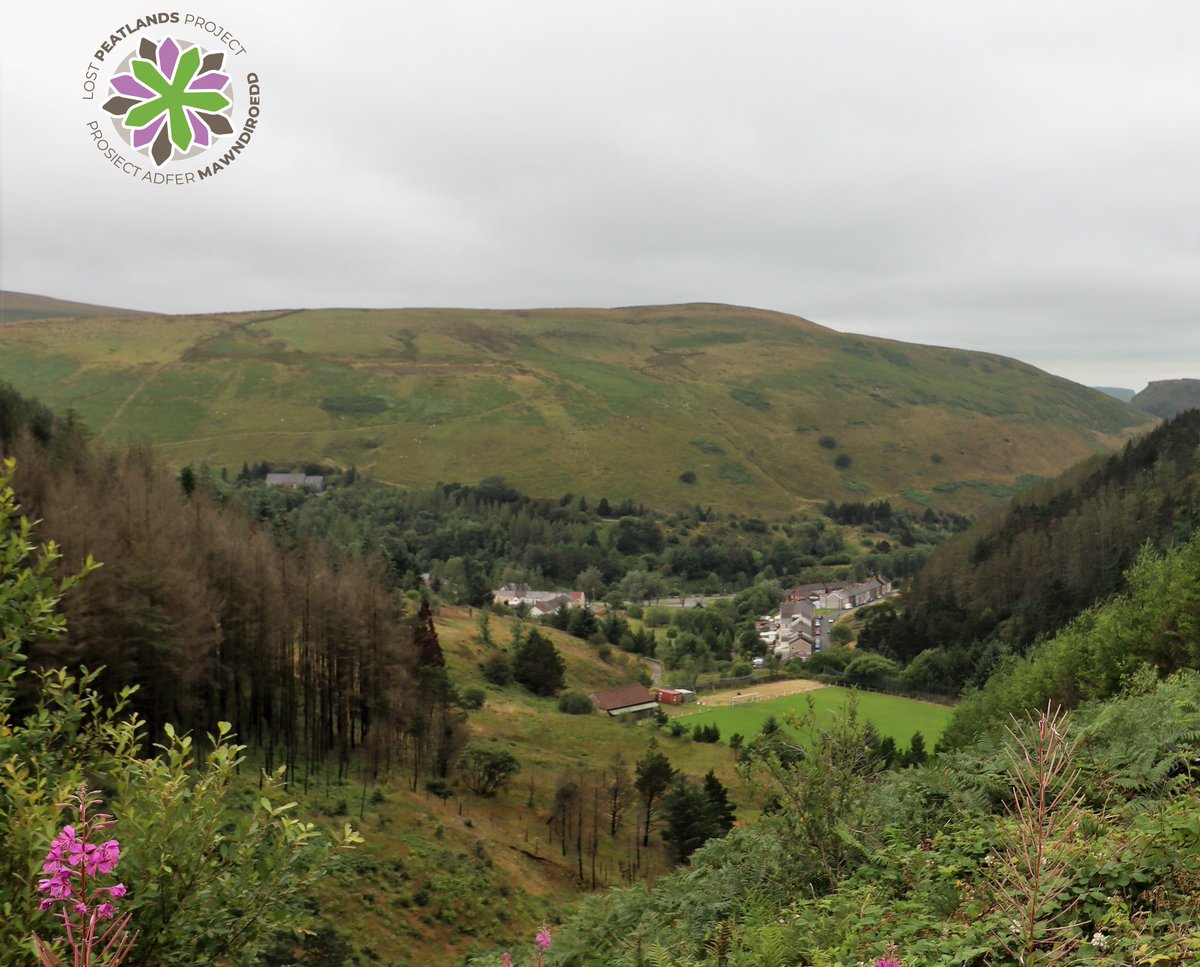 FREE! Introduction to Wildlife Recording Events. 
Gwynfi CWS
31/05/22: 10:00-12:00
Sign up here ; 
eventbrite.co.uk/e/lost-peatlan…