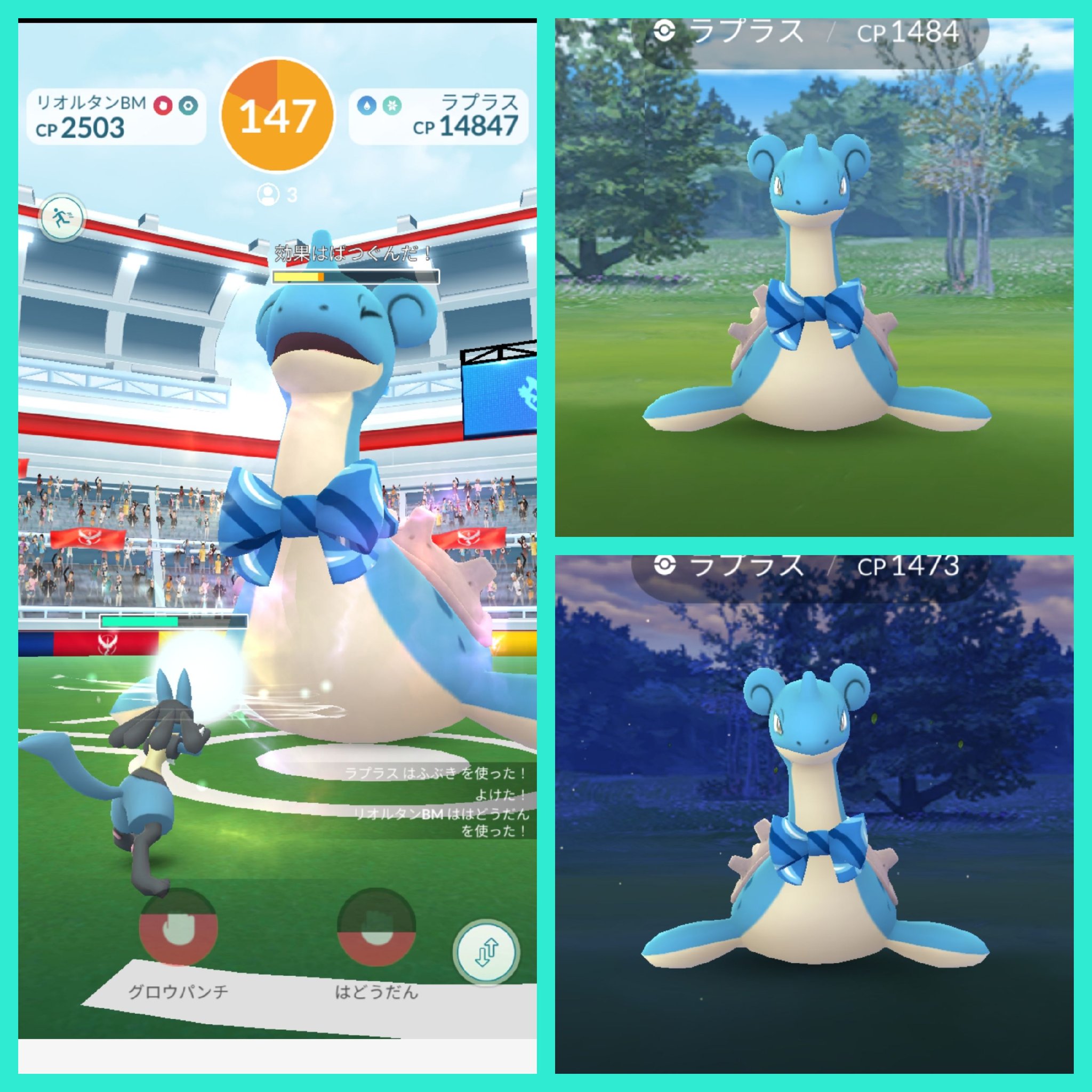 Amazinghisa 今日のポケモンgo活動 相棒の色違いフシギバナにリボン 付きました レイドはラプラス 2 シズクモをようやく進化させ 図鑑登録 ポケモンgo フシギバナ 色違い ラプラス オニシズクモ T Co Pscii6p2ym Twitter