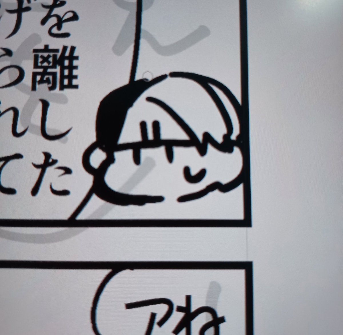 密かに気に入ってるクル先生 