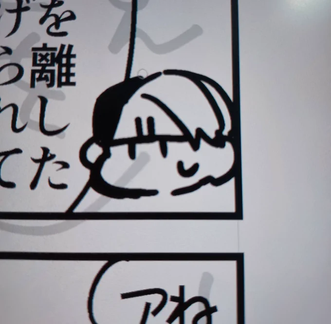 密かに気に入ってるクル先生 