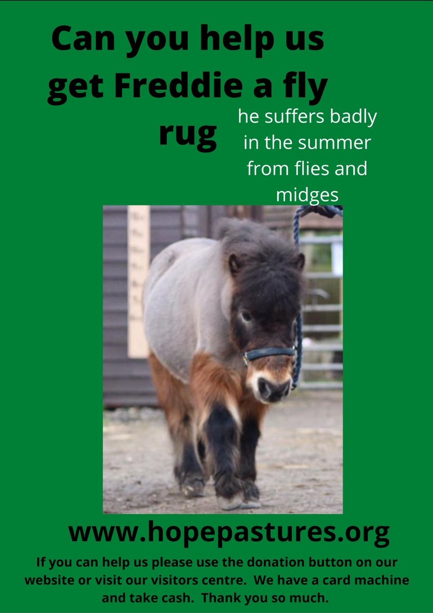 Freddie &amp; Bernie are having a terrible time with midges at the moment and we need to get them fly rugs for protection. If you could spare a few pounds we would be very grateful as its not nice for them. You can donate at hopepastures.org and click on the donate button ❤️