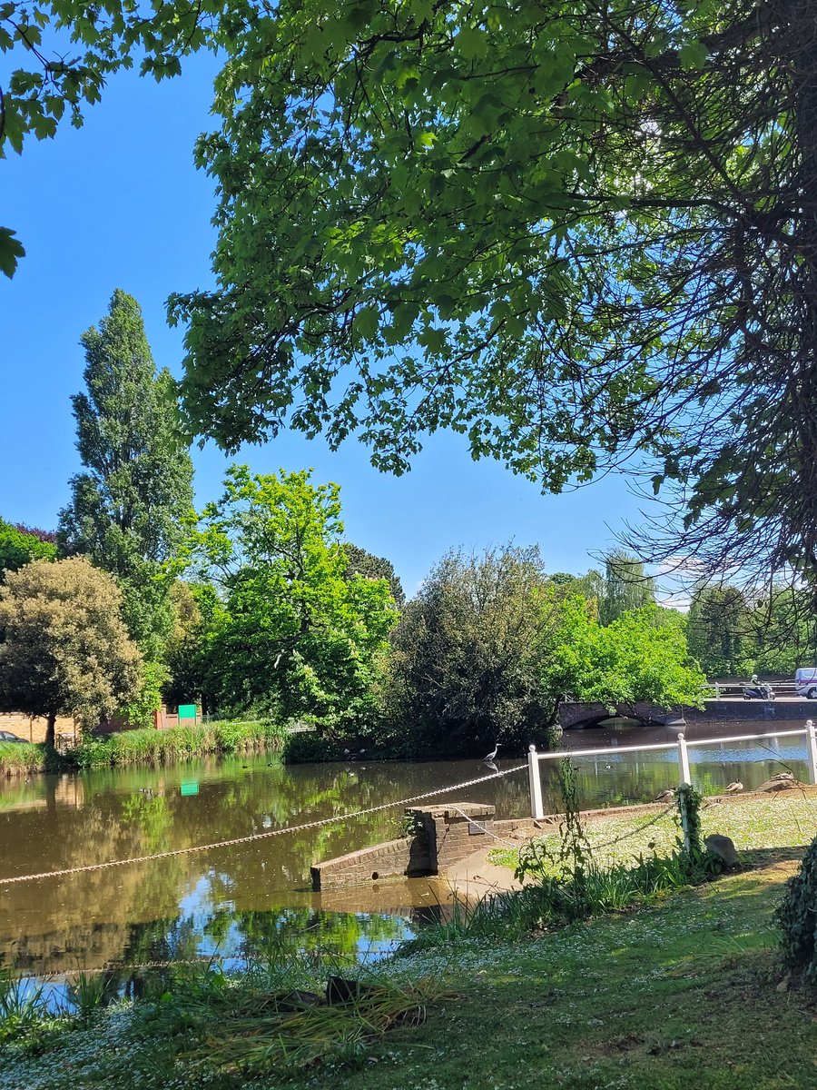 GreyhoundH's tweet photo. What a beautiful day in sunny Carshalton 🌞
Perfect for a lovely alfresco lunch or cheeky little G&T in our garden😋 . Come down, relax & enjoy the view.
#lovecarshalton #tuesdayvibe #letslunch @YoungsPubs https://t.co/ezl6jedwWU