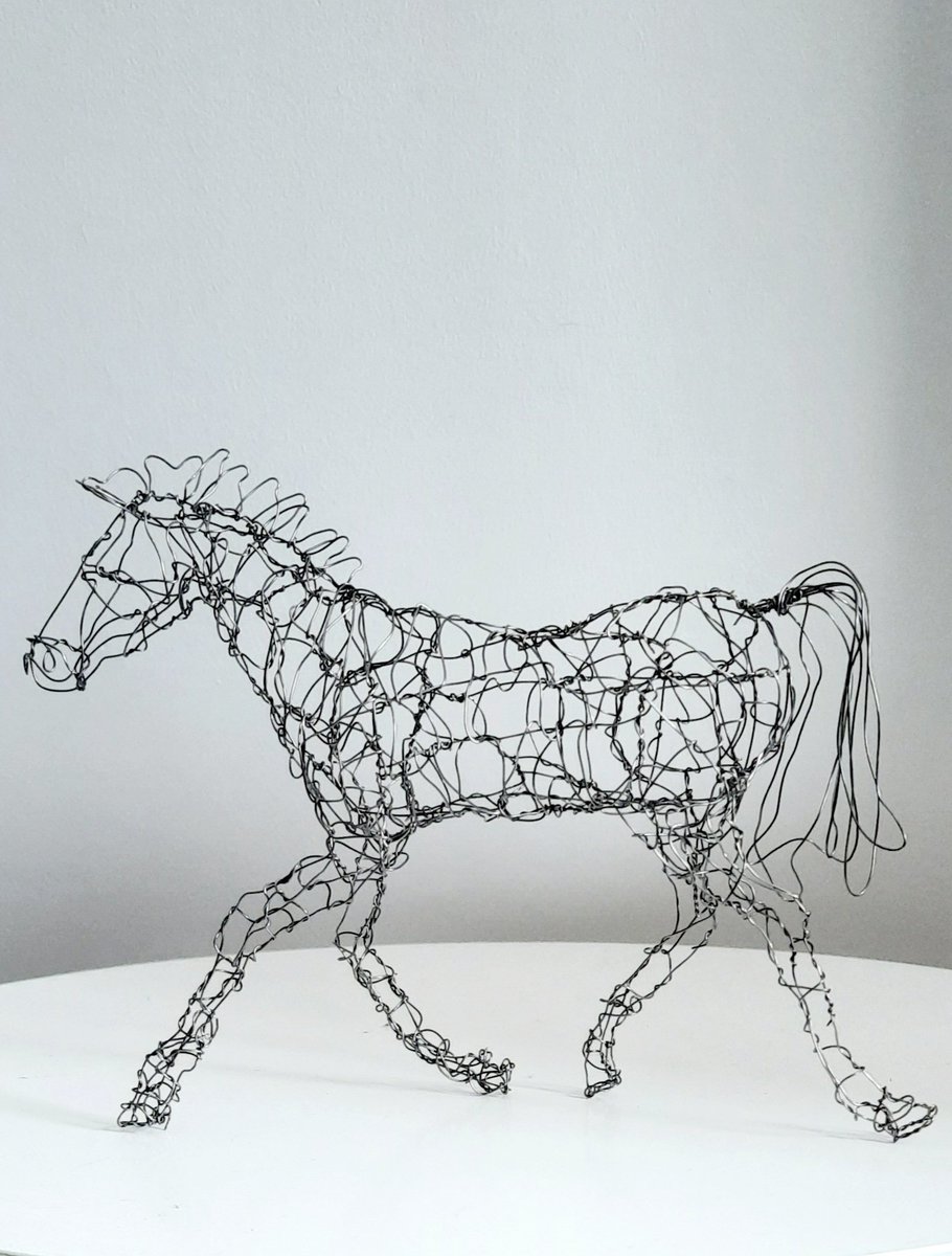 dlholly1's tweet photo. A recent piece.. took me 4 hours to make, whilst watching  @Eurovision on Saturday evening #wiresculpture #horselover #wireartist https://t.co/fOfdMw7VOd